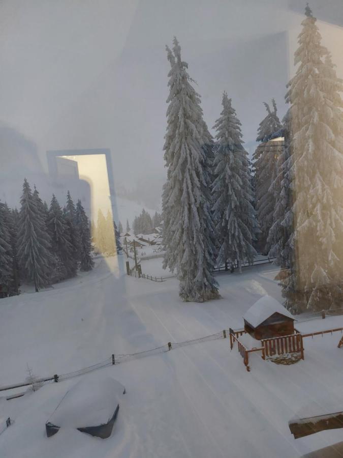 Pensiunea Aurora Vartop Exteriér fotografie